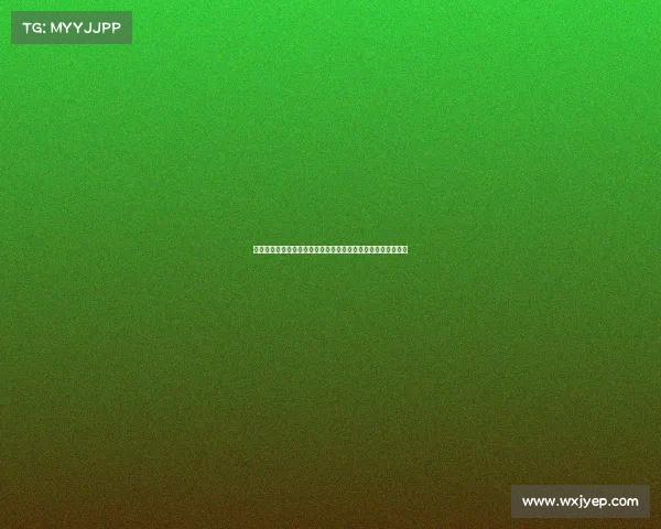 跑步赛事智能管理平台全方位支持报名计时成绩查询与互助社区